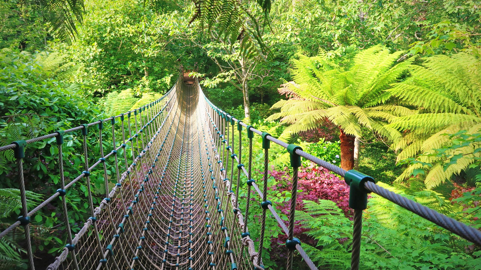 Heligan Gardens in Cornwall